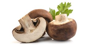 Corso-sui-funghi-champignon